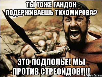 ты тоже гандон подерживаешь тихомирова? это подполье! мы против стреоидов!!!, Мем Это Спарта