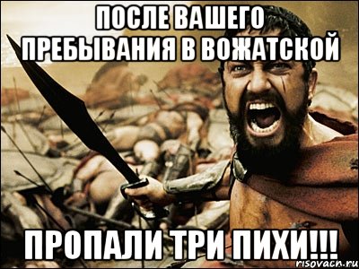 после вашего пребывания в вожатской пропали три пихи!!!, Мем Это Спарта