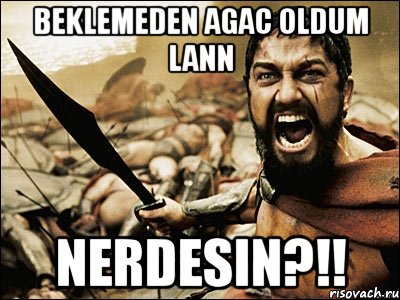 beklemeden agac oldum lann nerdesin?!!, Мем Это Спарта