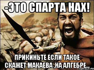 -это спарта нах! прикиньте если такое скажет макаева ,на алгебре..., Мем Это Спарта