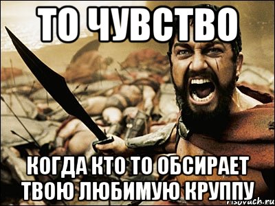 то чувство когда кто то обсирает твою любимую круппу, Мем Это Спарта