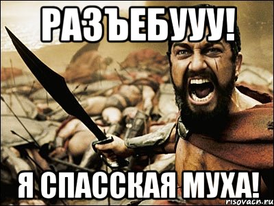 разъебууу! я спасская муха!, Мем Это Спарта