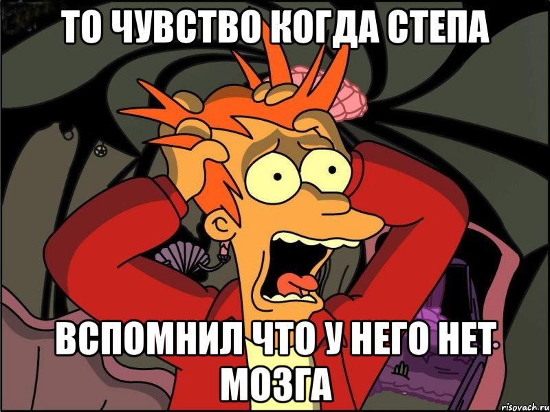 то чувство когда степа вспомнил что у него нет мозга, Мем Фрай в панике