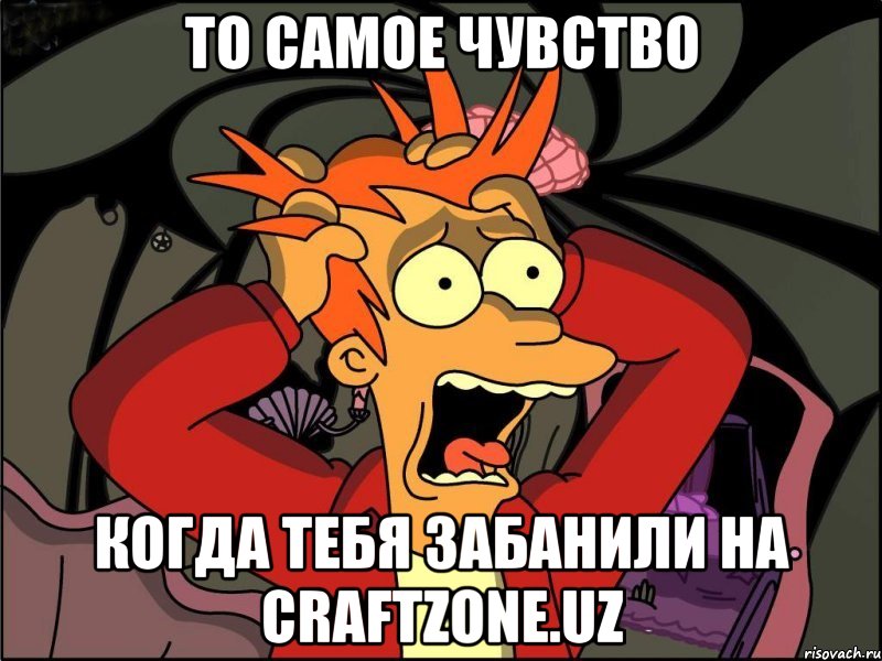 то самое чувство когда тебя забанили на craftzone.uz, Мем Фрай в панике