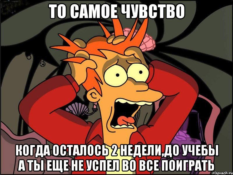 то самое чувство когда осталось 2 недели,до учебы а ты еще не успел во все поиграть, Мем Фрай в панике