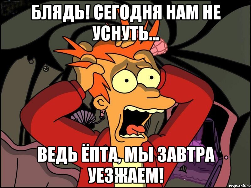 блядь! сегодня нам не уснуть... ведь ёпта, мы завтра уезжаем!, Мем Фрай в панике