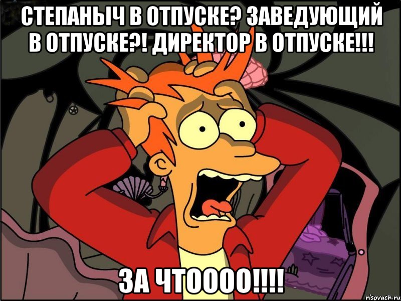 степаныч в отпуске? заведующий в отпуске?! директор в отпуске!!! за чтоооо!!!, Мем Фрай в панике