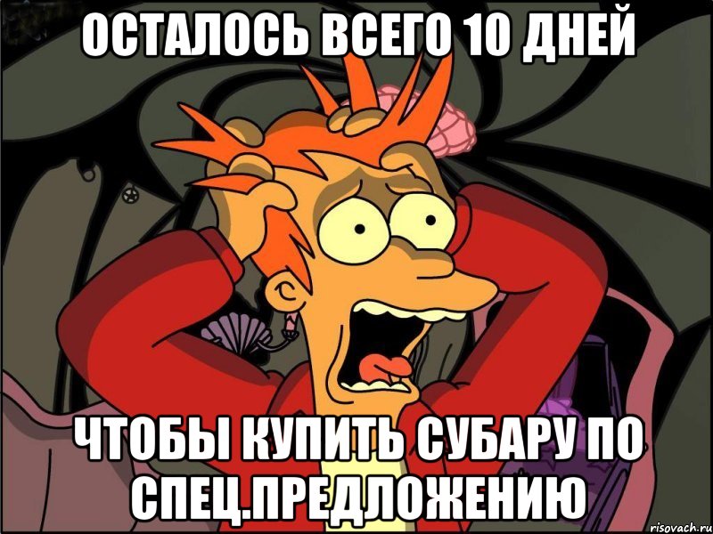 осталось всего 10 дней чтобы купить субару по спец.предложению, Мем Фрай в панике