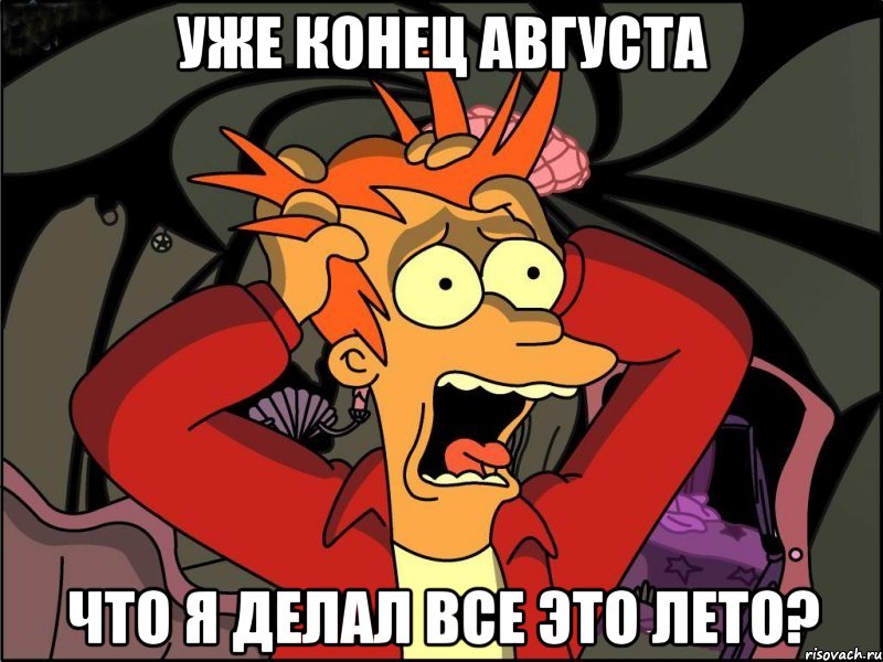 уже конец августа что я делал все это лето?, Мем Фрай в панике