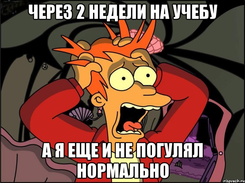 через 2 недели на учебу а я еще и не погулял нормально, Мем Фрай в панике