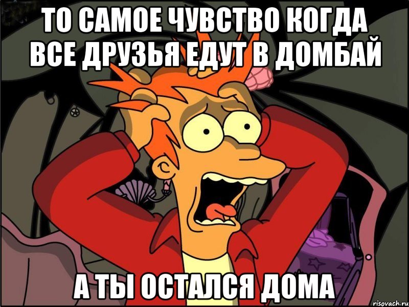 то самое чувство когда все друзья едут в домбай а ты остался дома, Мем Фрай в панике