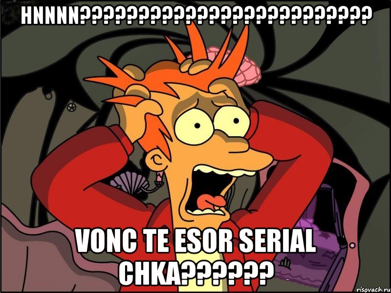 hnnnn??? vonc te esor serial chka???, Мем Фрай в панике