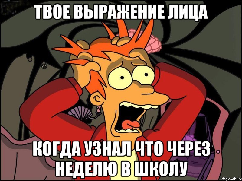 твое выражение лица когда узнал что через неделю в школу, Мем Фрай в панике