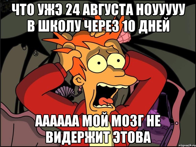 что ужэ 24 августа ноууууу в школу через 10 дней аааааа мой мозг не видержит этова, Мем Фрай в панике