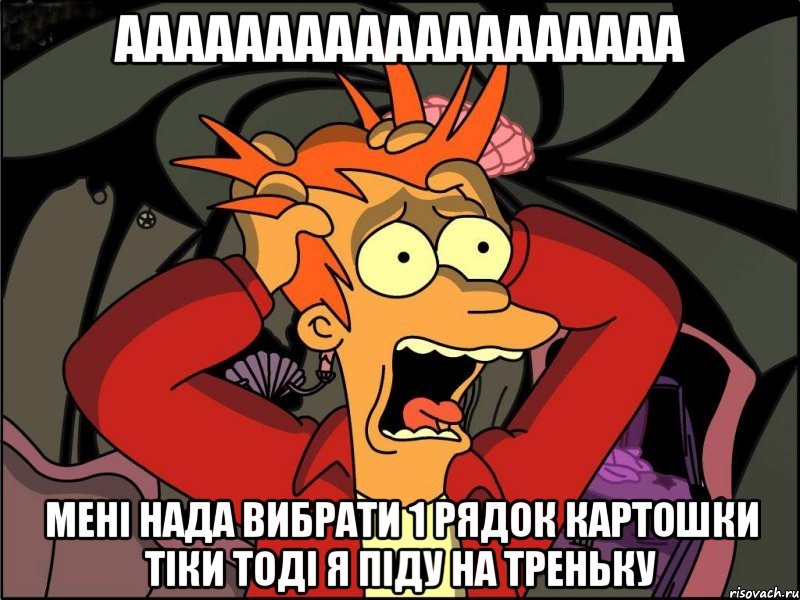 ааааааааааааааааааа мені нада вибрати 1 рядок картошки тіки тоді я піду на треньку, Мем Фрай в панике