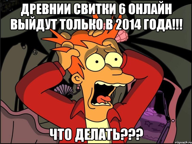 древнии свитки 6 онлайн выйдут только в 2014 года!!! что делать???, Мем Фрай в панике