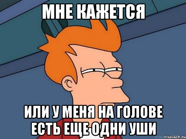 мне кажется или у меня на голове есть еще одни уши, Мем  Фрай (мне кажется или)