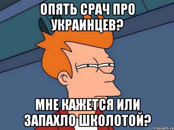 опять срач про украинцев? мне кажется или запахло школотой?, Мем  Фрай (мне кажется или)