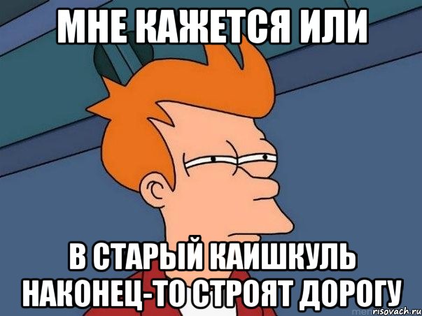 мне кажется или в старый каишкуль наконец-то строят дорогу, Мем  Фрай (мне кажется или)