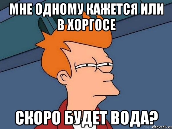 мне одному кажется или в хоргосе скоро будет вода?, Мем  Фрай (мне кажется или)