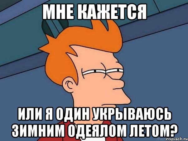 мне кажется или я один укрываюсь зимним одеялом летом?, Мем  Фрай (мне кажется или)