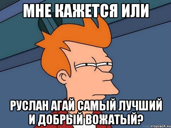 мне кажется или руслан агай самый лучший и добрый вожатый?, Мем  Фрай (мне кажется или)