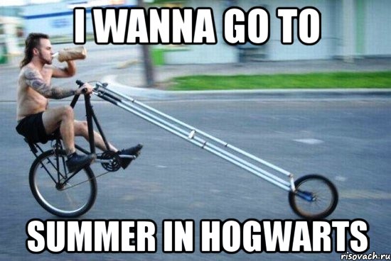 i wanna go to summer in hogwarts, Мем giving a fuck