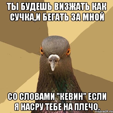 ты будешь визжать как сучка,и бегать за мной со словами "кевин" если я насру тебе на плечо.