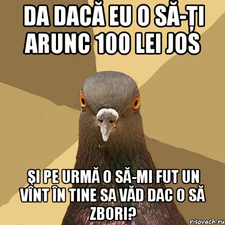 da dacă eu o să-ţi arunc 100 lei jos şi pe urmă o să-mi fut un vînt în tine sa văd dac o să zbori?, Мем голубь