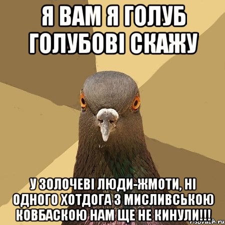 я вам я голуб голубові скажу у золочеві люди-жмоти, ні одного хотдога з мисливською ковбаскою нам ще не кинули!!!, Мем голубь