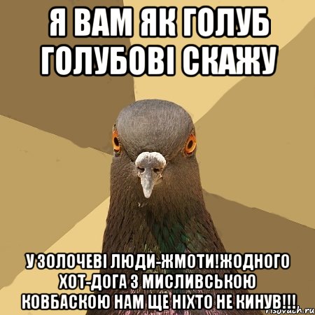 я вам як голуб голубові скажу у золочеві люди-жмоти!жодного хот-дога з мисливською ковбаскою нам ще ніхто не кинув!!!, Мем голубь