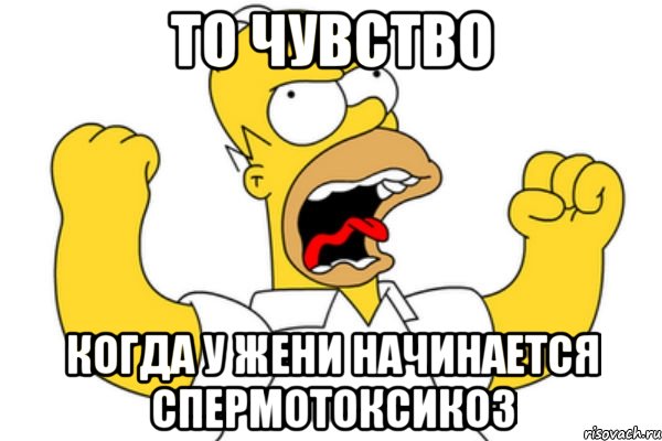 то чувство когда у жени начинается спермотоксикоз, Мем Разъяренный Гомер