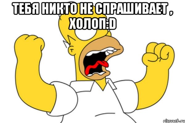 тебя никто не спрашивает , холоп:d , Мем Разъяренный Гомер