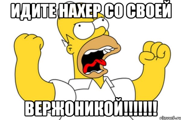 идите нахер со своей вержоникой!!!, Мем Разъяренный Гомер