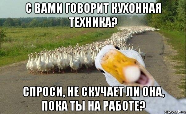 с вами говорит кухонная техника? спроси, не скучает ли она, пока ты на работе?, Мем гуси