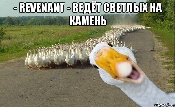 - revenant - ведёт светлых на камень , Мем гуси