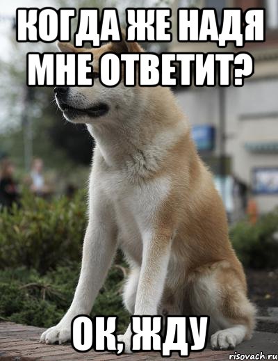 когда же надя мне ответит? ок, жду