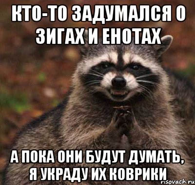 кто-то задумался о зигах и енотах а пока они будут думать, я украду их коврики, Мем  Хитрый енот