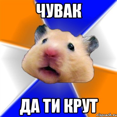 чувак да ти крут, Мем Хомяк