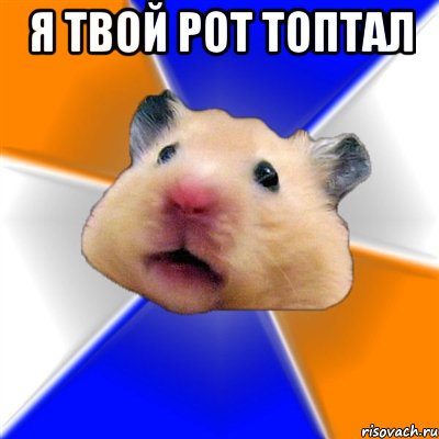 я твой рот топтал , Мем Хомяк