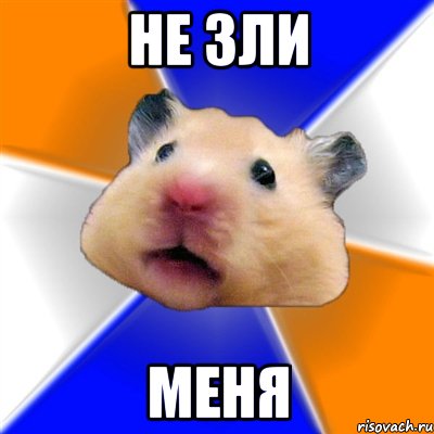 не зли меня, Мем Хомяк