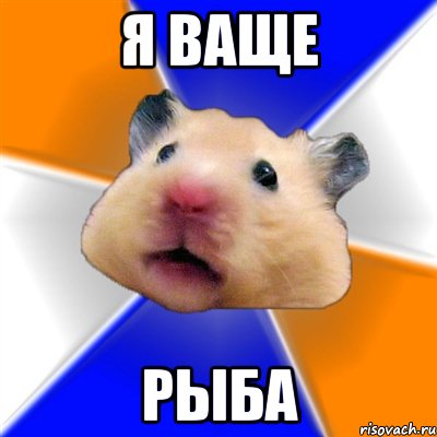 я ваще рыба, Мем Хомяк