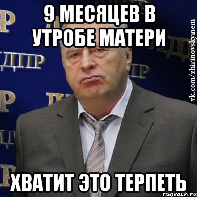 9 месяцев в утробе матери хватит это терпеть, Мем Хватит это терпеть (Жириновский)