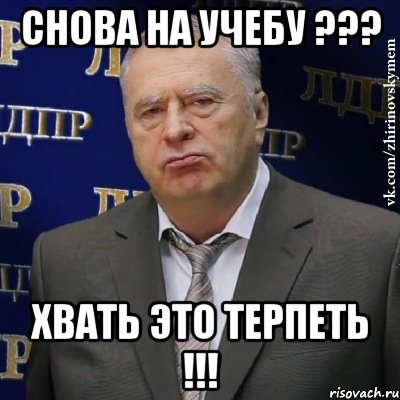 снова на учебу ??? хвать это терпеть !!!, Мем Хватит это терпеть (Жириновский)