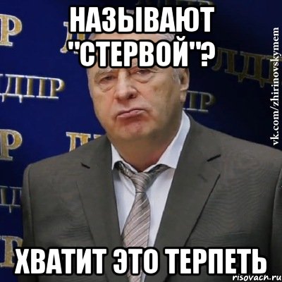 называют "стервой"? хватит это терпеть, Мем Хватит это терпеть (Жириновский)