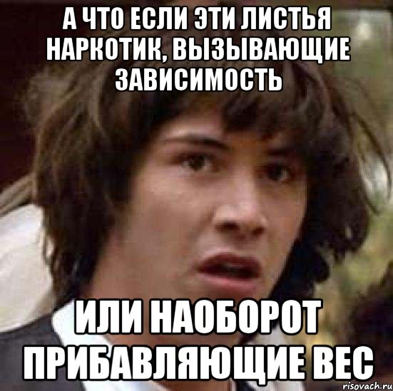 а что если эти листья наркотик, вызывающие зависимость или наоборот прибавляющие вес, Мем А что если (Киану Ривз)