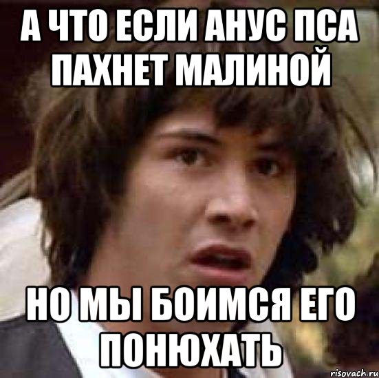 а что если анус пса пахнет малиной но мы боимся его понюхать, Мем А что если (Киану Ривз)