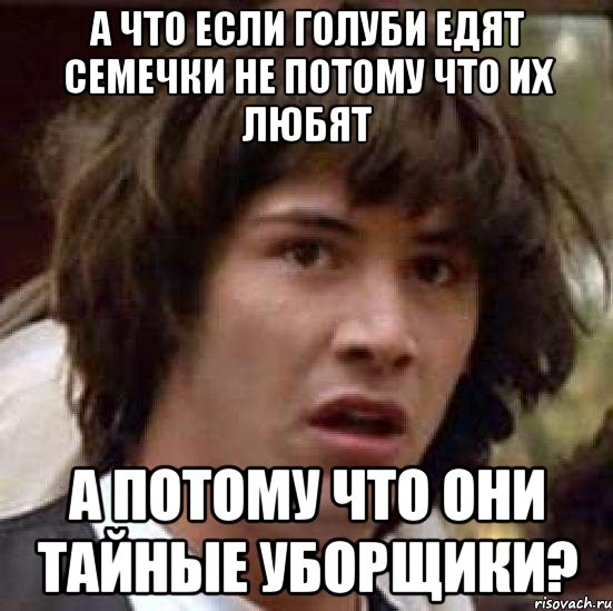 а что если голуби едят семечки не потому что их любят а потому что они тайные уборщики?, Мем А что если (Киану Ривз)