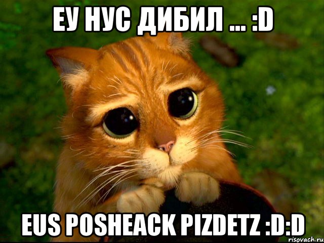 еу нус дибил ... :d eus posheack pizdetz :d:d, Мем кот из шрека