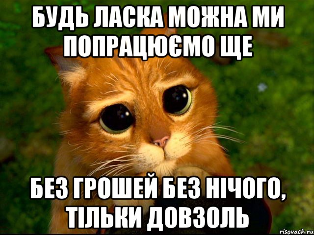 будь ласка можна ми попрацюємо ще без грошей без нічого, тільки довзоль, Мем кот из шрека